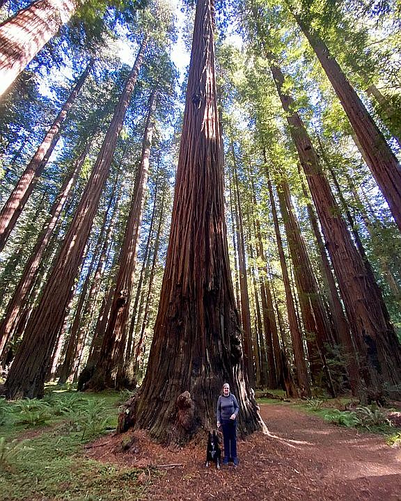 33 Beach Rd, Redway, CA 95560 Zillow