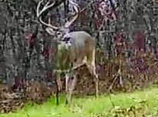 151 Church Hill Rd, Natchez, MS 39120