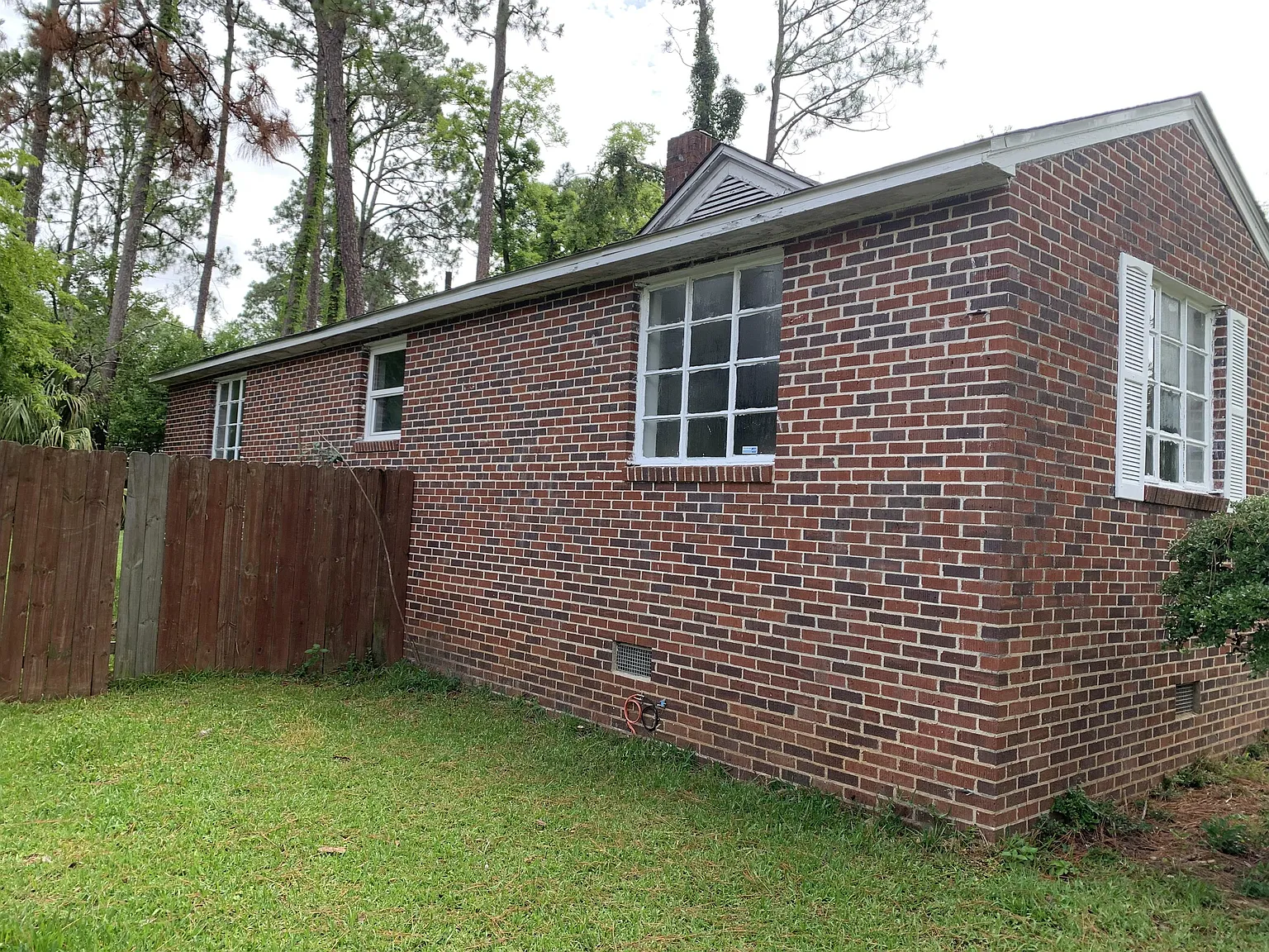 1133 Mary Avenue - 1 — Photo 2