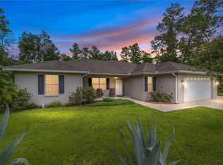 169 Bay Rd, Ocklawaha, FL 32179