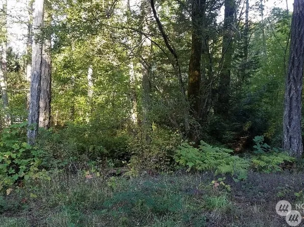 0 SE Arcadia Place, Shelton, WA 98584