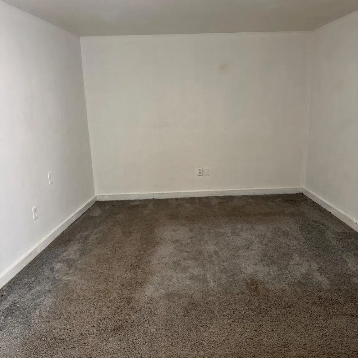 2 bed, 1.0 bath, 1400 sqft, $1,275 — Photo 4