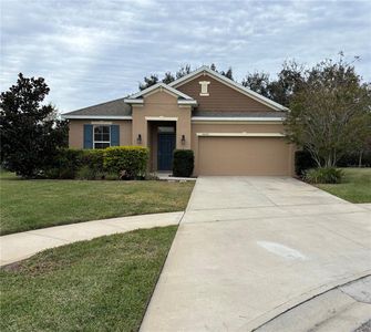 4040 Casterly Rock Ct, Eustis, FL, 32736