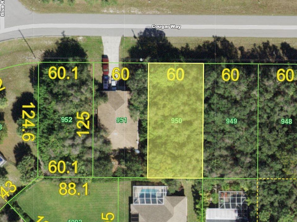 1st image of 165 Cougar Way