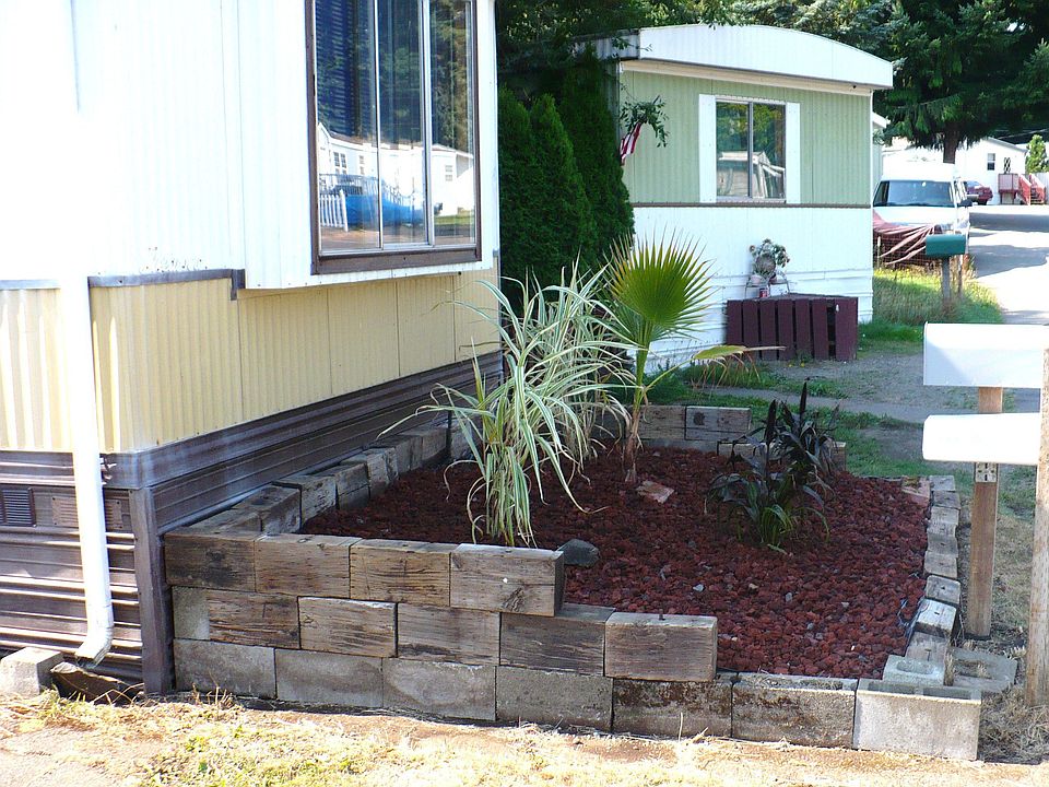 Palm tree out front