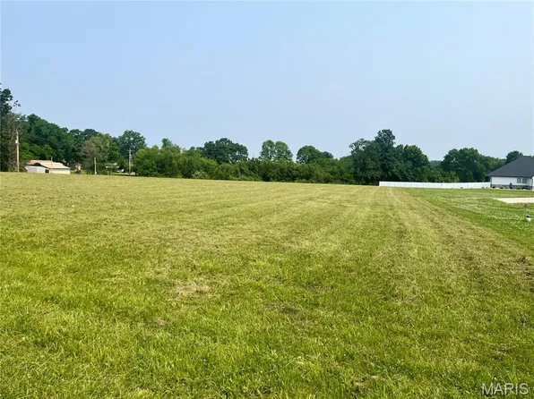 1 Mahogany Run, Farmington, MO 63640