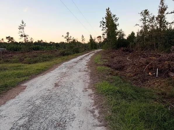 0 SW State Highway 251 Rd SW, Darien, GA 31305
