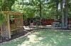 Back Yard BBQ area - Springhouse Way