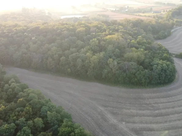 S Brown Rd, Elizabeth, IL 61028