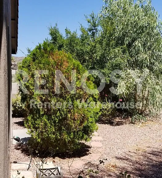 1744 W Frye Rd — Photo 18