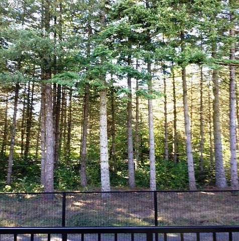 2nd image of 18687 NW Cedar Falls Loop #14.2