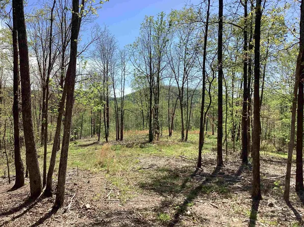 Chaparral Ln, Mena, AR 71953