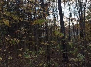 12174 Jenks St NE, Belding, MI 48809