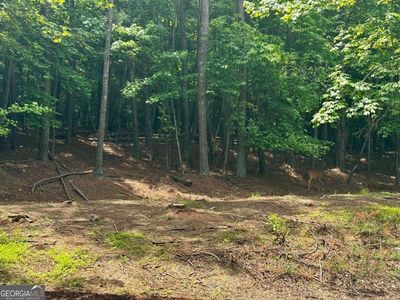 680 Mitchell Bridge Rd TRACT 2, Athens, GA, 30606