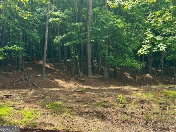680 Mitchell Bridge Rd Tract 2, Athens, GA 30606