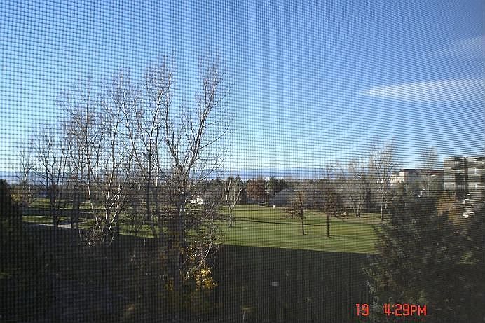 View from Living Room