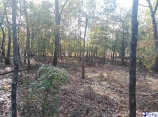 Hyland Ln, Mc Bee, SC 29101