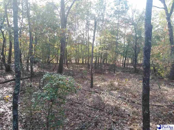 Hyland Ln, Mc Bee, SC 29101