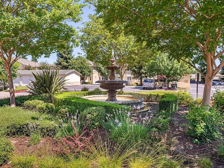 Fountain Feature