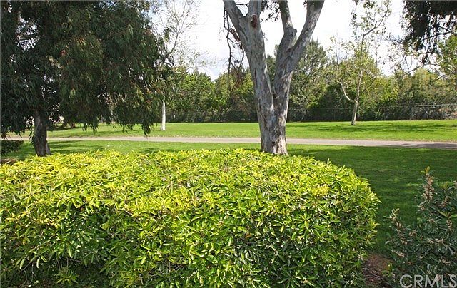 This is Just Over Your Wrought Iron & Block Wall Fence!