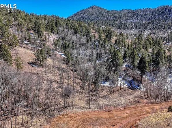 513 Last Dollar Dr, Cripple Creek, CO 80813