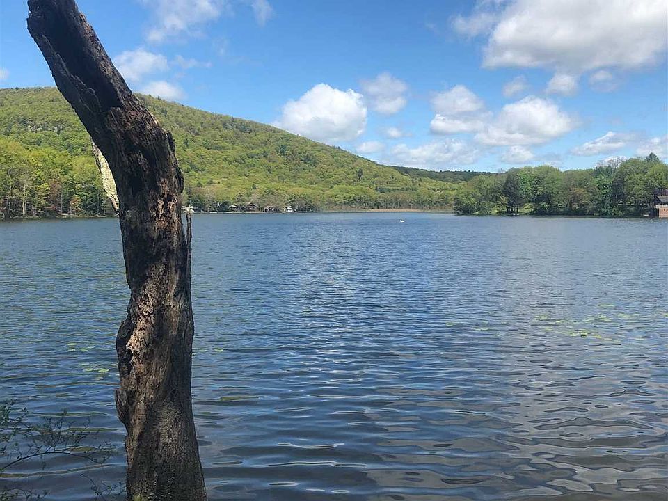 Lake Rd, Pine Plains, NY 12567 Zillow