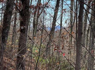 Lots Ash Branch Vw, Hayesville, NC 28904