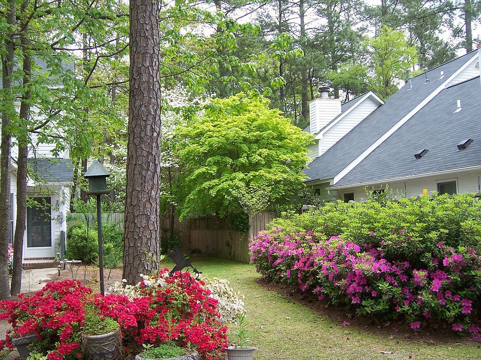 rear yard, beautiful shrubs and trees