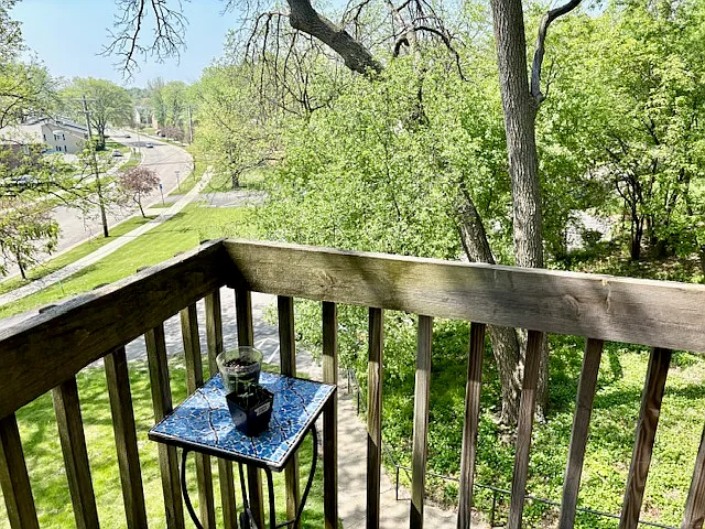 2500 Pheasant Ridge Trl #28 — Photo 6