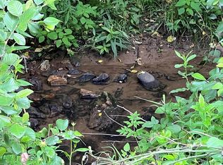 Tbd Hines Branch Rd, Elk Creek, VA 24326