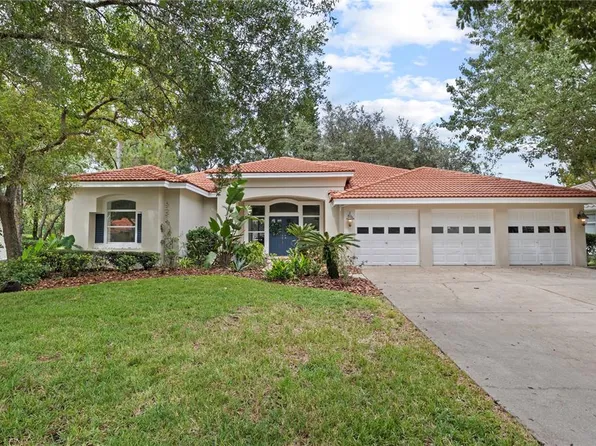 17803 Green Willow Dr, Tampa, FL 33647