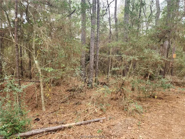 LOT 10 Honeylocust Ln, Plantersville, TX 77363