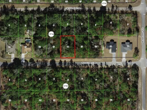 1625 W Dolores Dr, Citrus Springs, FL 34434