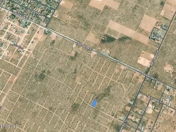 Euclidia Ct, El Paso, TX 79928