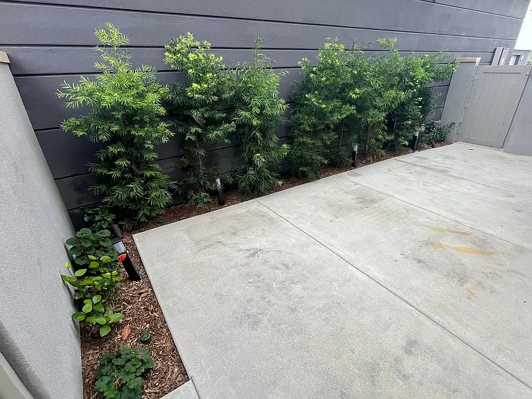 Backyard with drip irrigation