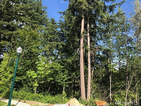 4th image of 18317 SE 248th St