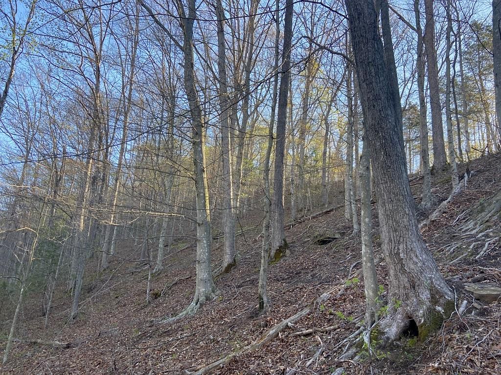 0 Gumlog Holw, Lost Creek, KY 41348 MLS 121392 Zillow