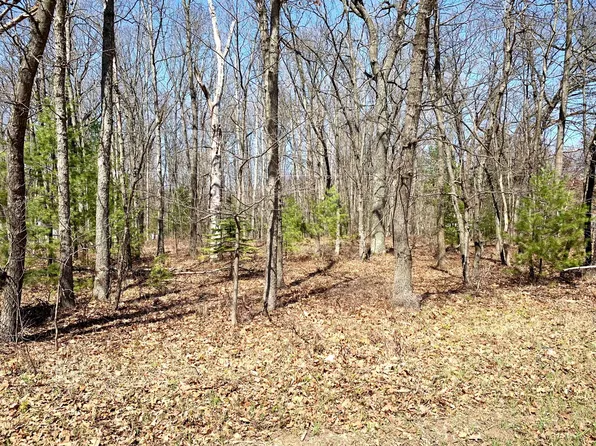 LOT 2 W Emery Rd, Houghton Lake, MI 48629