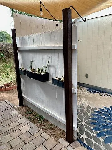 Your very own succulent garden, thriving!