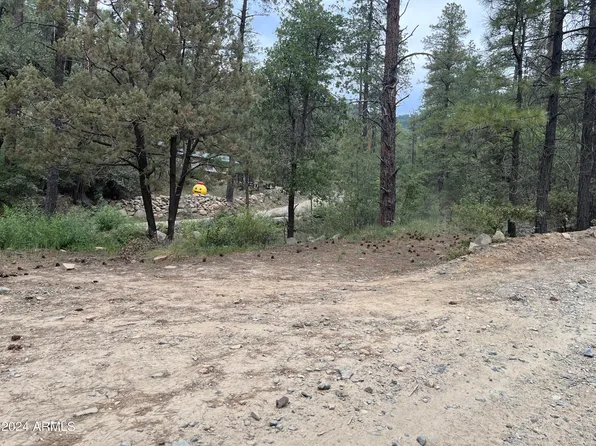 23274 S MOSS Road #20, Crown King, AZ 86343