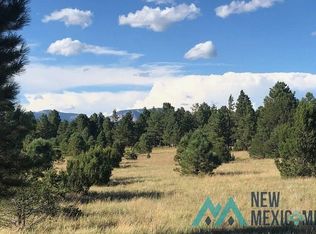CRA19A 10th St, Las Vegas, NM 87701