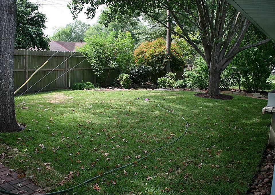 NEW GRASS