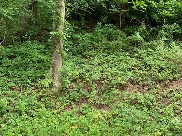 45-46 McKenzie Way S #Old, Old Fort, NC 28762