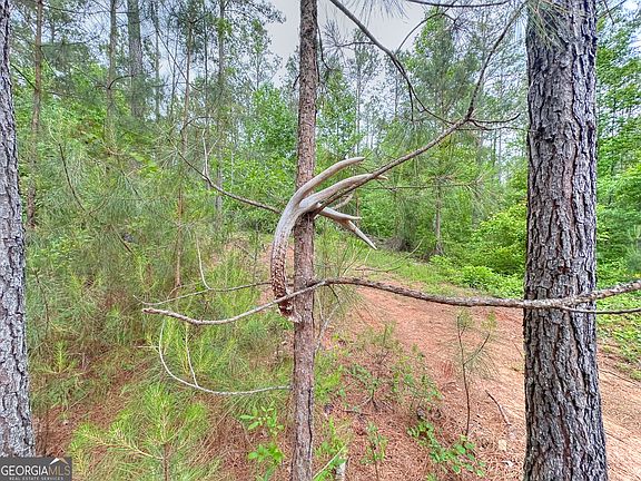 2nd image of 0 Rollin Mill Rd #6