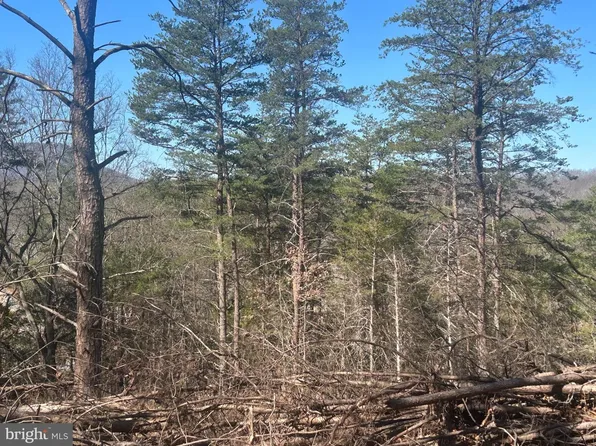 Andrews Rd, Strasburg, VA 22657