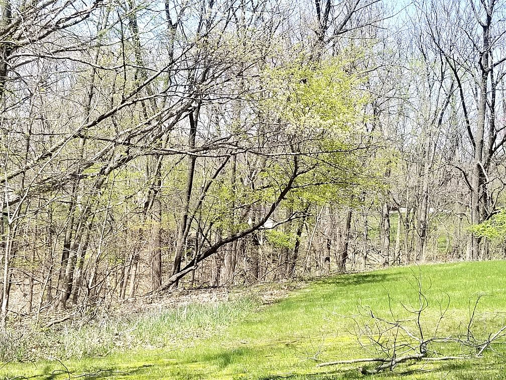 1277 Sunnyslope Dr, Varna, IL 61375 Zillow