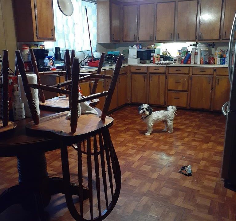 2nd image of 385 S 15th St #1