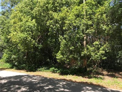 Via Bonita, Sanford, FL, 32771