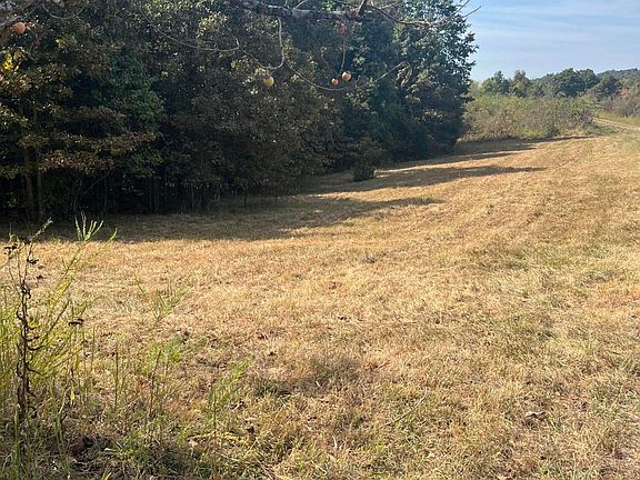 5th image of 1234 Blain Cannon Dr