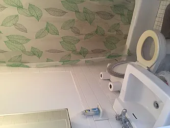 Rented by Kenneth Rosenblum, LREB